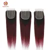 Perucas t1b/99j cor vermelha brasileira borgonha cabelo reto pacotes com fechamento applegirl remy cabelo humano 2/3/4 ombre pacotes fechamento