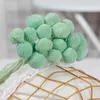 Fleurs décoratives 10pcs orbes d'or naturel séché préservé fleur Craspedia Billy Balls jaune maison décoration de fête de mariage pographie