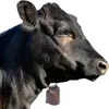 Collari per cani 2 Pcs Cow Bell Animal Codice Vervi Cloodestro Bestiani Hanging Baschetto Farm Farm per pendenti forti Provazioni