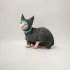 Costumi per gatti Vestiti Sphynx Devon Rex Abbigliamento Camicia a righe Maglione Felpa con cappuccio per animali domestici Set di abbigliamento per gatti senza peli con cappello e protezione per la coda