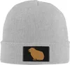 Bérets Capybara mignon rongeurs animaux cadeaux drôles pour femmes hommes noir tricot casquette en plein air chapeau temps froid