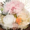 Fiori decorativi conservati, regali unici per la festa della mamma, illuminano il garofano nella cupola di vetro per le donne, mamma, nonna