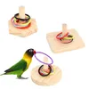 Other Bird Supplies Education Playing Toy For Large And Small Parakeets Eclectus Conures