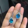 Cao Shis High-end Luxury Live Broadcast New Products Recommend Multi-color Caibao Series Earrings. Womens Long Zircon Earrings Sell Well