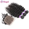 Wigs Deep Wave Bundles With Closure Brazilian Hair Weave 3/4 Bundles With 4x4 Lace Closure Natural Color Human Remy Hair 200g/Set