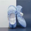 Dance Shoes Quality Ballet Blue Pink Color Spunlace Bag For Girls Ballerina Pointe Bags Accessories