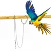 Autres fournitures d'oiseaux 4 tailles en acier inoxydable Safe Bird's Foot Ring Anklet Cheville Stand Chaîne Perroquet
