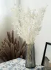Bouquet de fleurs séchées naturelles de vraies feuilles de Ruscus, Branches d'eucalyptus blanches pour décoration de salle de maison, décoration d'arrangement de mariage 240308