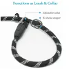 Laisses Collier et laisse pour chien 2 en 1, laisse antidérapante Durable, poignée rembourrée, fils réfléchissants, corde d'entraînement pour chien, 7 couleurs