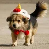 Vêtements pour chiens Chapeau de danse du lion chinois 2024 Festival de printemps Célébration de style animal de compagnie pour l'année Pographie