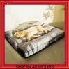 Penne per canili Cuccia per cani lavabile cuccia per cani quattro stagioni divano per animali con materassino per cuccioli spesso corallo Y240322