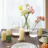 Vasen Zylindrische Glasvase mit 16 Stück, Heimdekoration, klare Knospe zum Entgittern, dekorative Dekoration, Garten