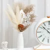 Fiori decorativi Naturali Pampas Erba Bouquet di fiori secchi Nordic Boho Home Natale Decorazioni fai da te Foglie di palma Forniture per feste di nozze