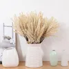 Fiori decorativi 6 pezzi/pacco bouquet artificiale vaniglia Shawu grano punta per la decorazione della parete di piante domestiche cereali finti