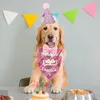 Vestuário para cães, suprimentos para festa de aniversário, 1 peça, trajes confortáveis para cães, aniversários, máquina durável, roupas laváveis, acessórios para animais de estimação