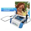 Equine 448KHz Tecar Therapy RF Deep Diathermy Machine CET RET Rehabilitator für Haustiere Pferde Hund Katze Tierarzt Phyiotherapie-Ausrüstung