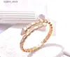 Charm Bracelets Designer Luxury Dinner Necklace Women Lady Mother of Pearl Settings Cubic Zircon Snake Snakelike Collar Necklace Bangle L240322