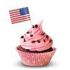 Accessories America Toothpick Flags 300Pack Paper Food Picks Cake Toothpicks Cupcake Toppers Fruit Cocktail Sticks USA Toothpick Flag