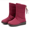 Boots Fashion Women Boots Tassel Winter Boots Female Down Snow Boots Shoes Woman Mid Calf Botas Mujer Warm Winter Shoes Plus Size 44