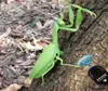 Infrared RC Remote Control Realistic Mini Mantis Insect Scary Trick Toy Simulation Animal Funny Prank Kids For Children Toy Gift Y6232494