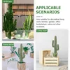 Dekorativa blommor Plant Cactus Model Desktop Decor Simulated ProNsments Dekorera konstgjorda sticka livsindiga figur Bankett