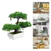 Decoratieve bloemen Kunstmatige potplanten Imitatie Decoratie Geïmiteerde Bonsai Mini Hars Gesimuleerde planten