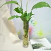 Wazony rzemiosła oczyszczają dekoracje domu domowe nieregularny kształt hydroponiczne rośliny kwiatowe wazon pojemnik roślinny