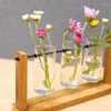 Vaser terrarium hydroponic växt transparent vas träram dekorationer glas bordsskiva bonsai dekor blomma
