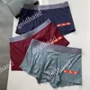 Sexy Herren Unterwäsche Boxer Luxus Marke Boxed Underpants Atmungsfreie Modal -Unterpolster -Slips