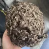 Toupees Platin Sarışın 20mm Kıvırcık Toupe Erkekler İçin İnsan Saç Değiştirme Sistemi Doğal saç çizgisi V Döngü Dayanıklı İnce Cilt Tam Pu Ünitesi