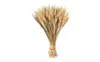 Decorative Flowers 100pcs Dried Wheat Sheave Stalks Bouquet Bundles Natural Golden Home Party Decor Wedding DIY