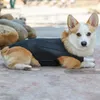 Hundkläder Support Harness Mesh Design Dreatoble Disc Protection Vest Perfekt för husdjursrörlighet Ryggåterställning Lätt att justera