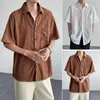 Men's Casual Shirts Solid Color Lapel Shirt Soft Men Retro Hollow Out See-through Party With Turn-down Collar Chest For Male