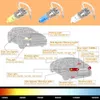 Other Car Lights Urbanroad 2 pieces/batch H3 light bulbs 3000K halogen xenon H3 12V 55W gold mist factory price automotive design parking lotL204