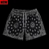 Men's Shorts 2024 Summer Mens Shorts Mens and Womens Fashion Beach Casual Pants Mesh Sports Quick Dry Quarter Pants J240322