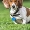 Hundhalsar 15 datorer Skyddsbeklädnadsmaterial Tagnamn Ring för krage silikon Pet Silica Gel Dogs Accessories