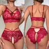 Sexy conjunto de lingerie sexy conjuntos de sutiã para mulheres rendas ver através quente sutiã erótico e calcinha conjuntos exóticos babydolls vestido roupa interior erótica 24322