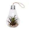 Vaser 652f glödlampa formad utomhusglas hängande planterare växter krukor för saftiga Tillandsia ljushållare gåva hem hållbar