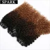 Pruiken Spark 1/3/4 Bundels Afro Kinky Kinky Curly Human Hair Extensions Ombre Braziliaans 100% menselijk haar Weave Bundel Bundels Blond Bruin Black Remy