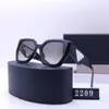 2024 Luxus Marke Kleine Rahmen Sonnenschutz Gläser Vintage Brille Platz Designer Pra Sonnenbrille für Frauen männer Mit Logo