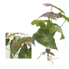 装飾的な花人工緑の植物シルクカラー矢じり葉の屋内屋内と屋外の風景シミュレーション植物学習