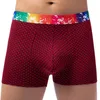 Sous-vêtements pour hommes Rainbow Belt Plaid Boxer Pantalon Europe et États-Unis Grande pochette Sous-vêtements imprimés Trunks Boxers Adulte