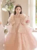 Prinzessin Erstkommunion Kleider für Mädchen Kristalle Kleinkind Festzug Kleider Mädchen Kleider Plus Size Kinder Party Blumenmädchen Kleid Kinder glänzende Mi Geburtstagskleider