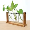 Vaser terrarium hydroponic växt transparent vas träram dekorationer glas bordsskiva bonsai dekor blomma