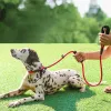 Leashes hundkrage och koppel 2 i 1 Hållbar slip bly hund koppel vadderad handtag reflekterande trådar hundträning rep för husdjur 7 färg