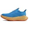 Size 5.5 - 12 Carbon X 3 X 2 Running Shoes Men Women One One Blue Coral Black White Festival Fuchsia Fiesta Foam Runner Run 2024 Zapatos Trainer Sneakers