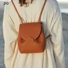 Damer handväska tillverkare främjar franska pol ryggsäck kvinnors ny ryggsäck crossbody väska kvinnor avancerad känsla liten grupp enkel axel väska pendlare väska