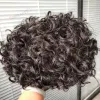 Toupees Platin Sarışın 20mm Kıvırcık Toupe Erkekler İçin İnsan Saç Değiştirme Sistemi Doğal saç çizgisi V Döngü Dayanıklı İnce Cilt Tam Pu Ünitesi