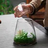 Vasi Micro Paesaggio Muschio Vulcano Bottiglie di vetro con coperchio Vaso Verde fresco Bottiglia Terrario Bonsai Desktop Decorazione della casa