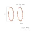 Hoopörhängen för kvinnor Enkel estetisk cirkel Bambu Piercing Earing Rose Gold Color Korean grossistsmycken E249